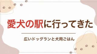 愛犬の駅に行ってきた 広いドッグランと犬用ごはん