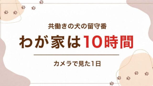 共働きの犬の留守番　わが家は10時間　カメラで見た1日