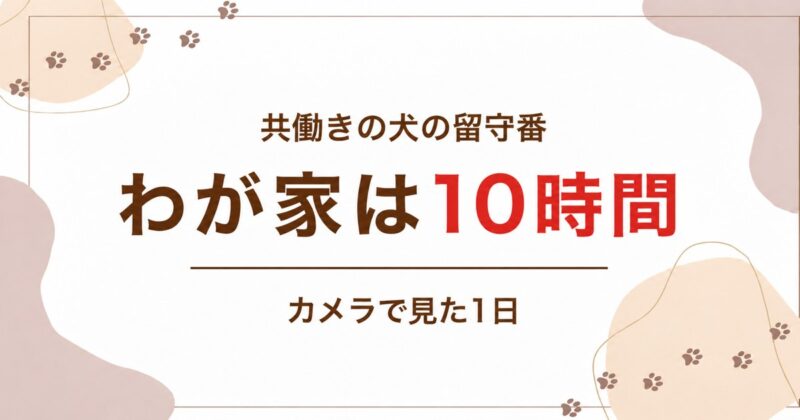 共働きの犬の留守番 わが家は10時間 カメラで見た1日