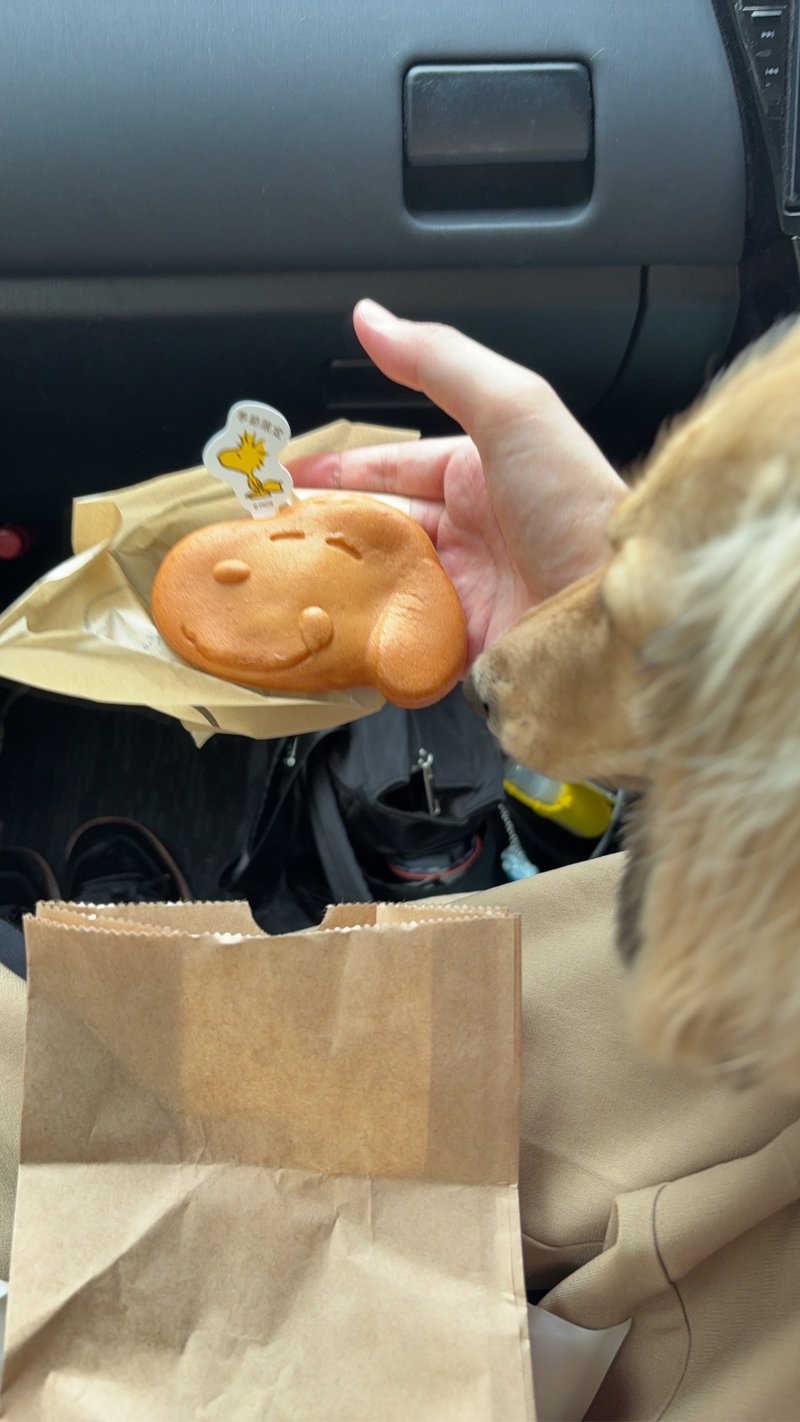 スヌーピーやきを見つめる犬