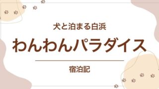 南紀白浜わんわんパラダイス宿泊記のアイキャッチ